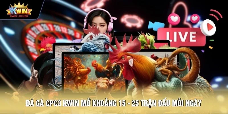 Đá gà CPC3 KWIN mở khoảng 15 - 25 trận đấu mỗi ngày