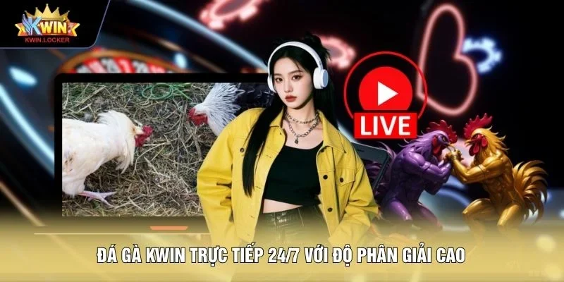 Đá gà KWIN trực tiếp 24/7 với độ phân giải cao