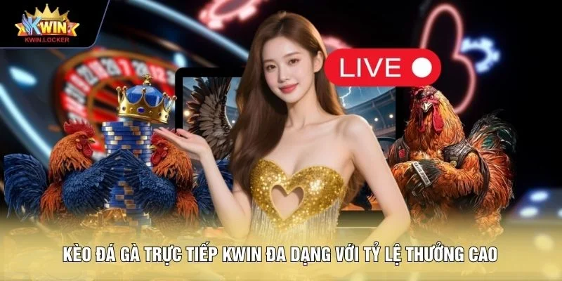 Kèo đá gà trực tiếp KWIN đa dạng với tỷ lệ thưởng cao