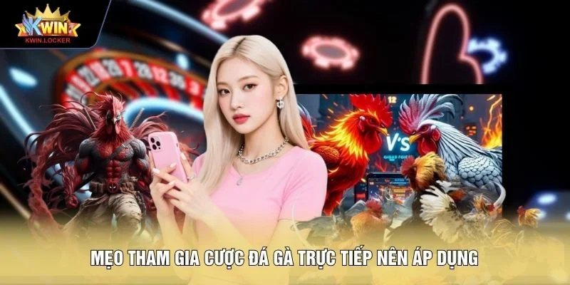 Mẹo tham gia cược đá gà trực tiếp nên áp dụng