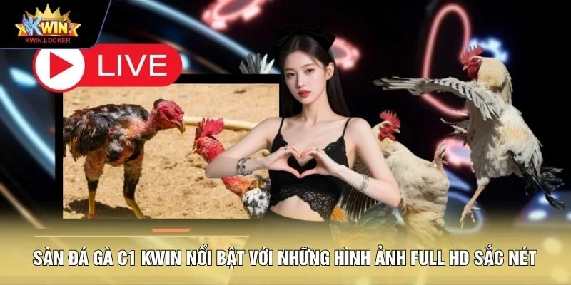 Sàn đá gà C1 KWIN nổi bật với những hình ảnh full HD sắc nét